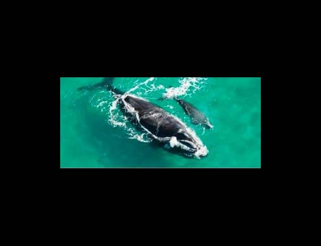 LAND FOR SALE IN MOSSEL BAY EXT 26